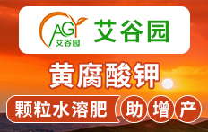 �ӱ������r(n��ng)�I(y��)�Ƽ����޹�˾