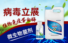 ɽ�|����������I�B(y��ng)���޹�˾