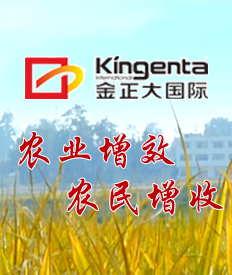 ���������B(t��i)���̼��F(tu��n)�ɷ����޹�˾